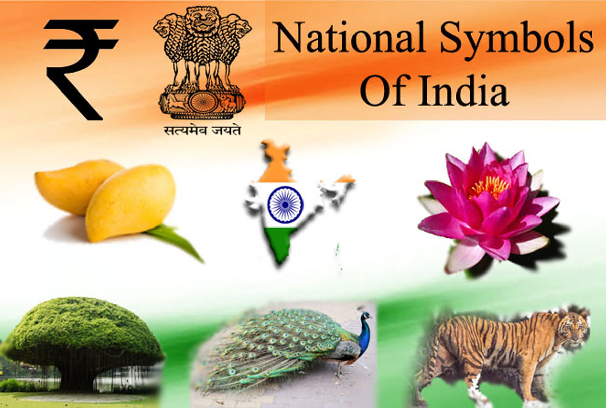 national-symbols-of-india-maruthi-school-of-banking